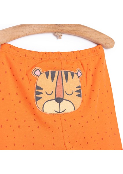 Little Life Yenidoğan Arkası Nakışlı Patikli Alt Erkek Bebek modelleri