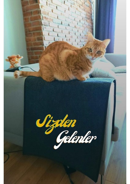 Tekno Trust Gri Kedi Tırmalama Halısı Koltuk Kenarı Koruyucu 50 cm x 100 cm Tırmalama Paspasları