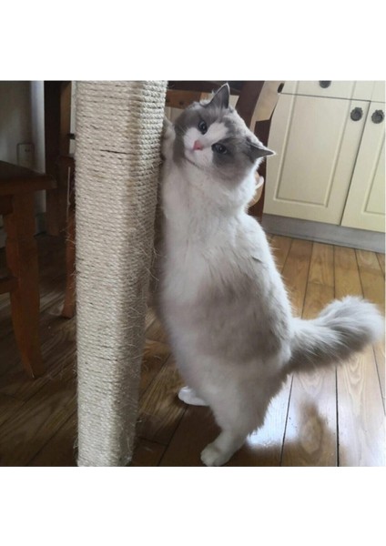 Tekno Trust Kedi Tırmalama Ipi 4 mm x 15 Metre