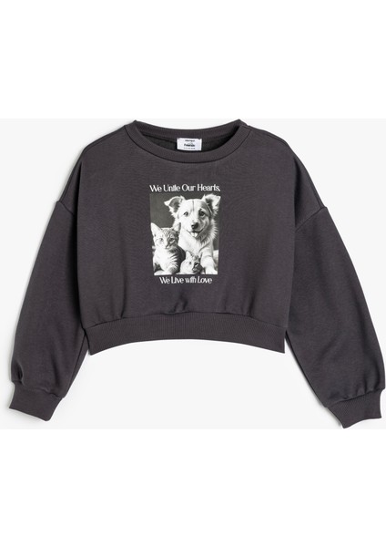 Sweatshirt Köpek Baskılı Bisiklet Yaka Uzun Kollu Şardonlu Pamuklu