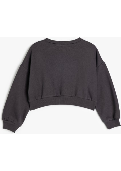 Sweatshirt Köpek Baskılı Bisiklet Yaka Uzun Kollu Şardonlu Pamuklu fiyatları