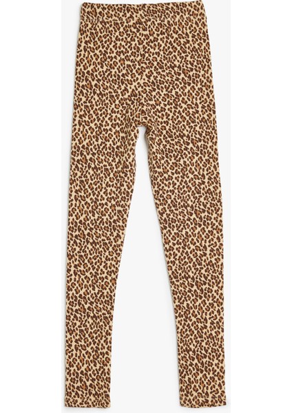 Tayt Leopar Desenli Beli Lastikli Pamuklu fiyatları