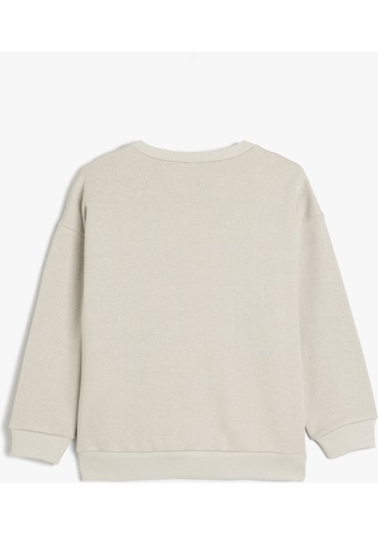 Oversize Sweatshirt Uzun Kollu Bisiklet Yaka Köpek Baskı Detaylı Şardonlu fiyatları