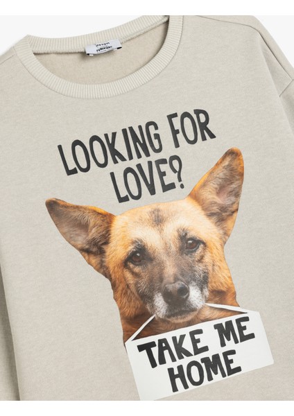 Oversize Sweatshirt Uzun Kollu Bisiklet Yaka Köpek Baskı Detaylı Şardonlu modelleri