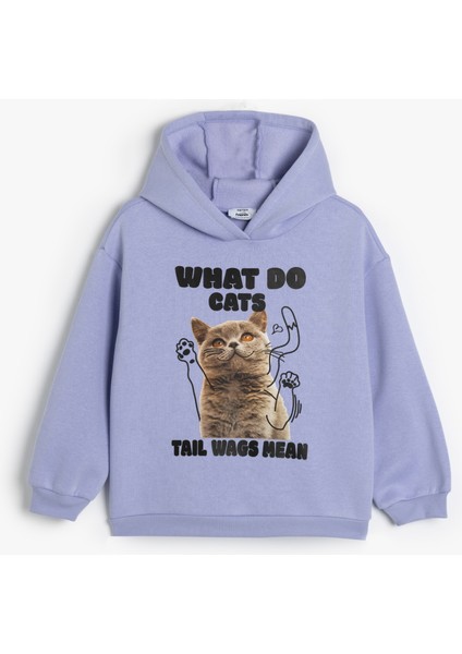 Kapşonlu Sweatshirt Kedi Baskılı Uzun Kollu