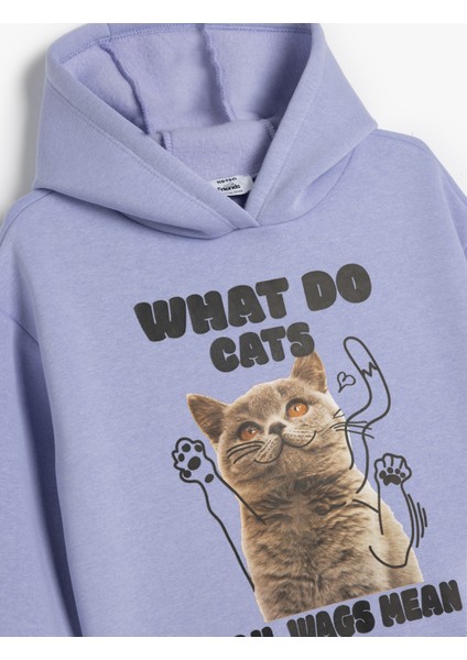 Kapşonlu Sweatshirt Kedi Baskılı Uzun Kollu