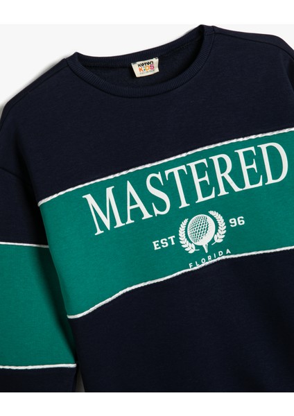 Sweatshirt Baskılı Bisiklet Yaka Şardonlu Renk Bloklu modelleri