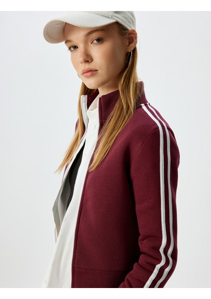 Fermuarlı Crop Sweatshirt Biyeli Dik Yaka Şardonlu