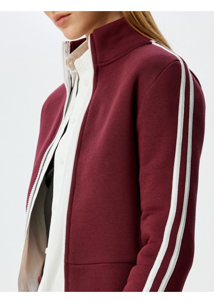 Fermuarlı Crop Sweatshirt Biyeli Dik Yaka Şardonlu indirimleri
