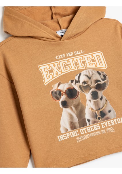 Kapşonlu Sweatshirt Köpek Baskılı Uzun Kollu Pamuklu