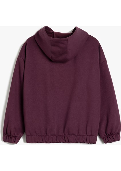 Kapşonlu Sweatshirt Hayvanlar Baskı Detaylı Uzun Kollu Şardonlu fiyatları