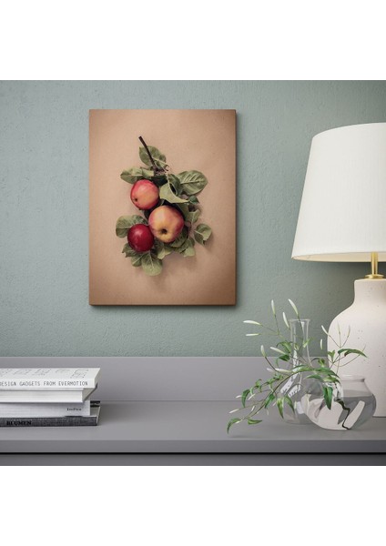 Resim, Çok Renkli, 30X40 Cm, Elmalı Yapraklar fiyatları