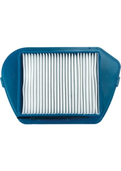 RO53 Compacteo CYCLONE-ZR005501 Zyklon ZR005501 Elektrikli Süpürge Aksesuarları Kiti Parçaları Için Hepa Toz Filtreleri (Yurt Dışından)