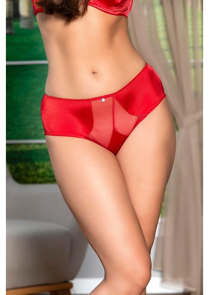 31521 Toparlayıcı Minimizer Sütyen Takım