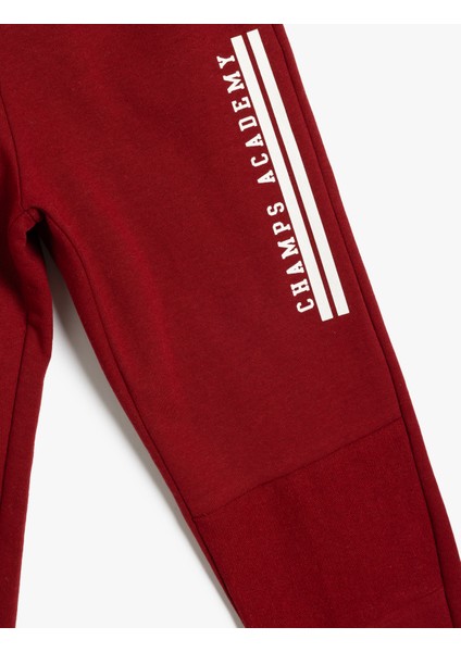 Jogger Eşofman Altı Beli Bağlamalı Cepli Şardonlu modelleri