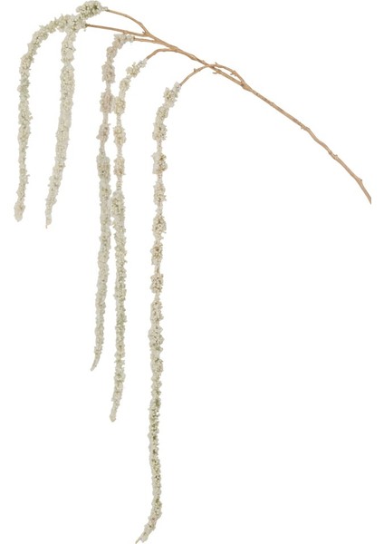 Amaranthus Dal / Gold 107 cm