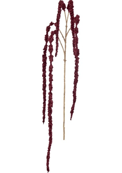 Amaranthus Dal Kırmızı / 107 cm