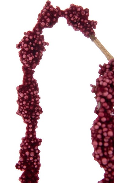 Amaranthus Dal Kırmızı / 107 cm