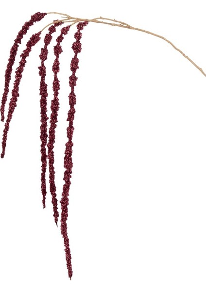 Amaranthus Dal Kırmızı / 107 cm