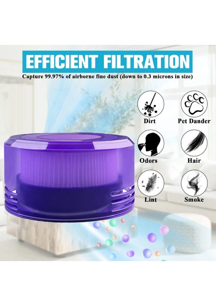 6 Adet Filtre Yedek Parçaları Focus Yatak Elektrikli Süpürge Ön Filtre ve Arka Filtre Ev Temizliği (Yurt Dışından)