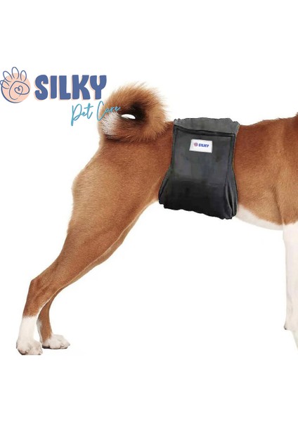 Sılky - Erkek Köpek Için Çiş Bel Bandı / Yıkanabilir ( Haki - Medium )