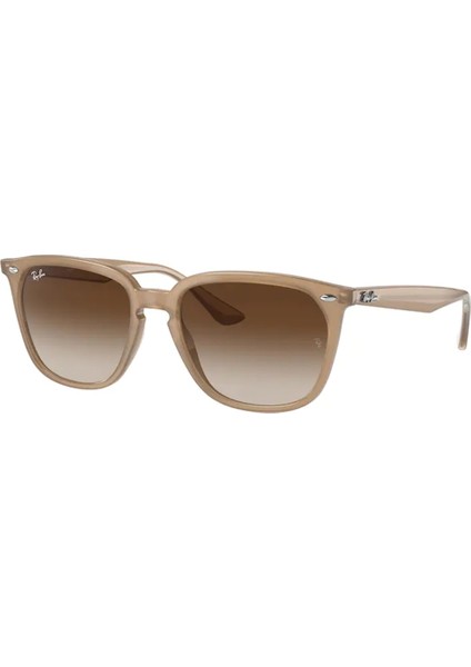 Rb 4362 616613 55 Ekartman Unisex Güneş Gözlüğü