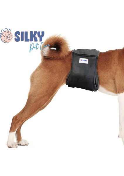- Erkek Köpek Için Çiş Bel Bandı / Yıkanabilir ( Lacivert)