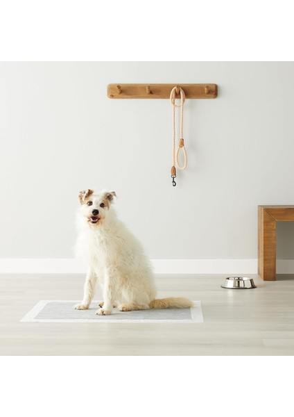 Noname Köpek Çiş Pedi - 60*90CM / 40GR / 50AD fiyatları