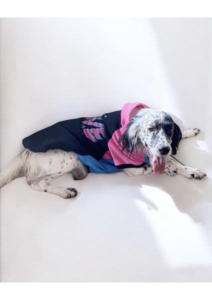 Move Extra Kapşonlu Sweatshirt Orta ve Büyük Irklar Için