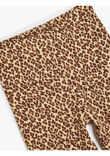 Tayt Leopar Desenli Beli Lastikli Pamuklu