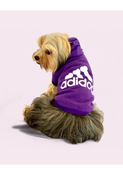 Mor Adidog Kapşonlu Sweatshirt Köpek Kazağı