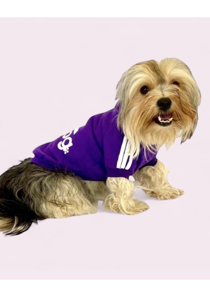 Mor Adidog Kapşonlu Sweatshirt Köpek Kazağı