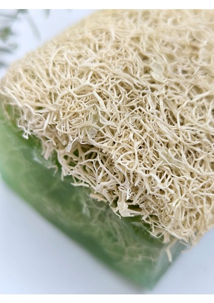Doğal Kabak Lifli Aloe Vera Sabunu 120 gr modelleri