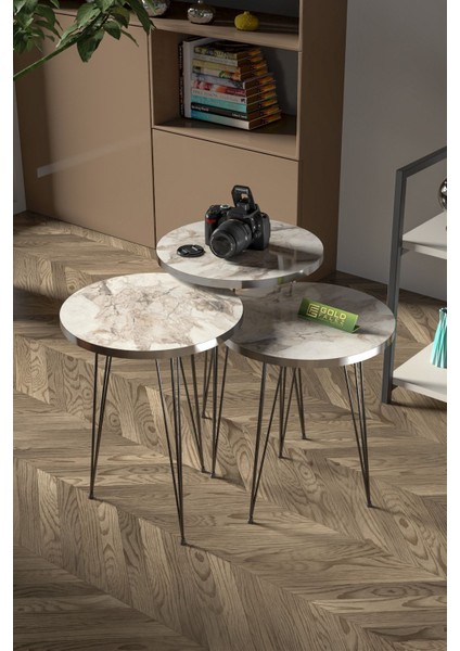 Zigon Sehpa Ve Orta Sehpa Elips Set Siyah Tel Ayak Gümüş Efes fiyatları