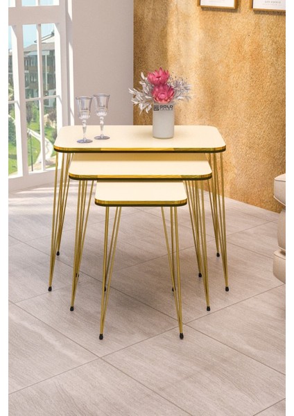 Zigon Sehpa Kr ve Orta Sehpa Kr Set Çift Gold Krem Tel 1114 fiyatları