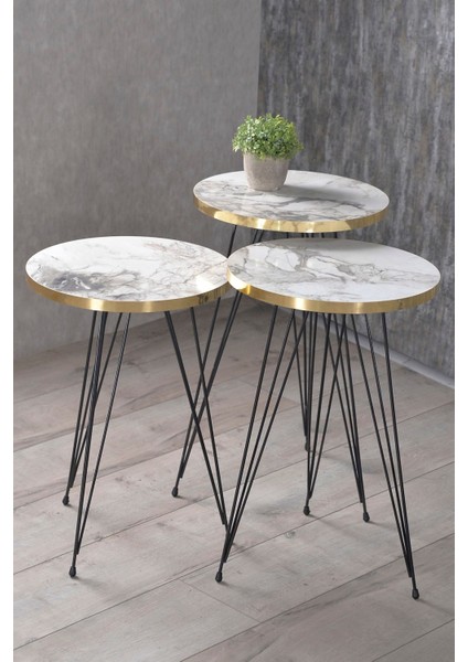 Zigon Sehpa Ve Orta Sehpa Kr Set Siyah Tel Ayak Altın Efes