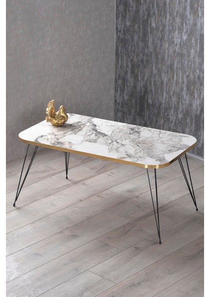 Zigon Sehpa Ve Orta Sehpa Kr Set Siyah Tel Ayak Altın Efes fiyatları