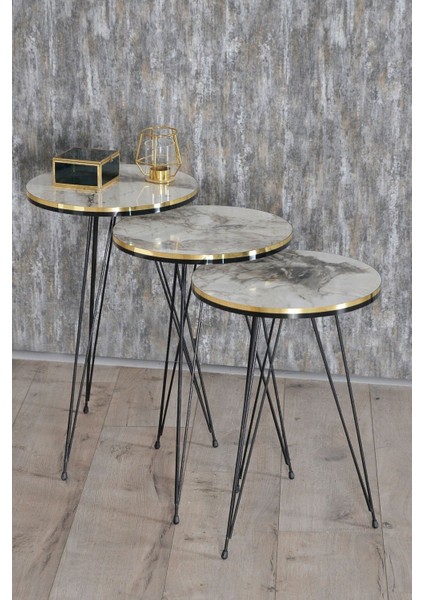 Zigon Sehpa ve Orta Sehpa Kr Set Siyah Tel Ayak Çift Altın Efes fiyatları