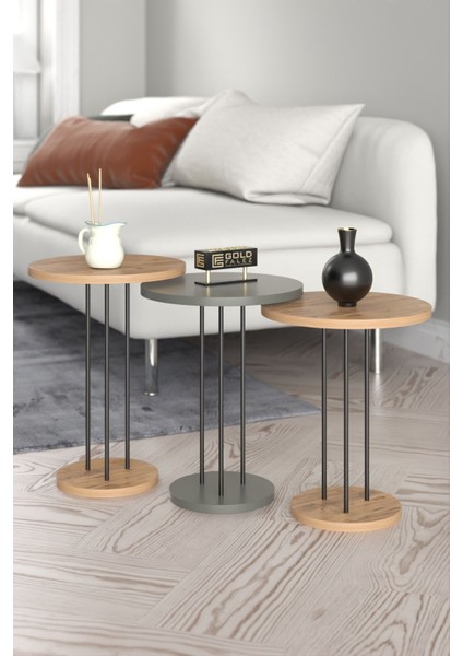 Orta Sehpa ve Zigon Sehpa Terra Set Antrasit Ceviz indirimleri