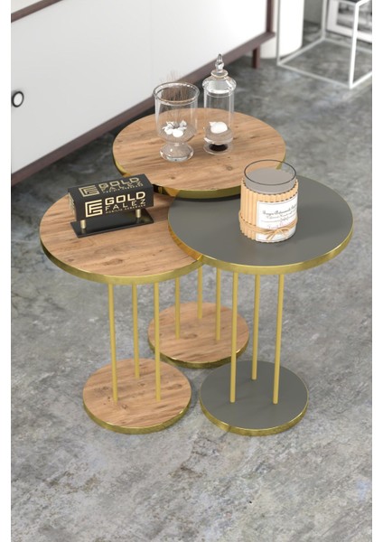 Orta Sehpa ve Zigon Sehpa Terra Set Gold Antrasit Ceviz fırsatları