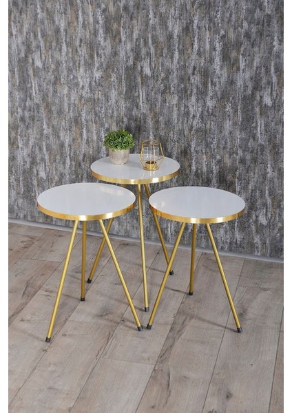 Zigon Sehpa ve Orta Sehpa Elips Gold Metal Ayak Gold Beyaz Set fiyatları