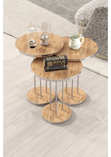 Orta Sehpa ve Zigon Sehpa Terra Set Gümüş Ceviz fırsatları