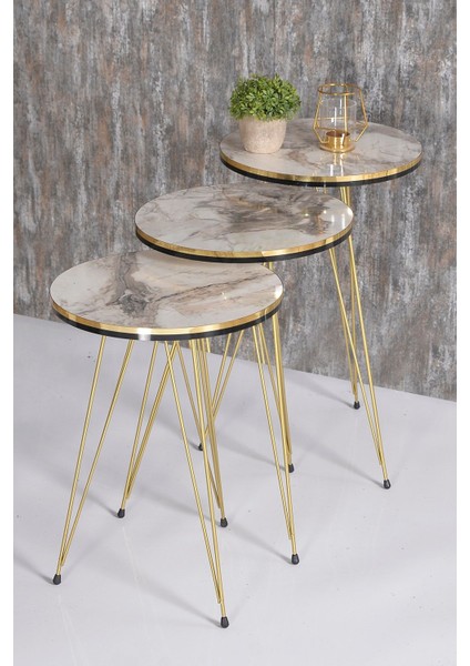 Zigon Sehpa ve Orta Sehpa Elips Set Çift Gold Efes Tel modelleri