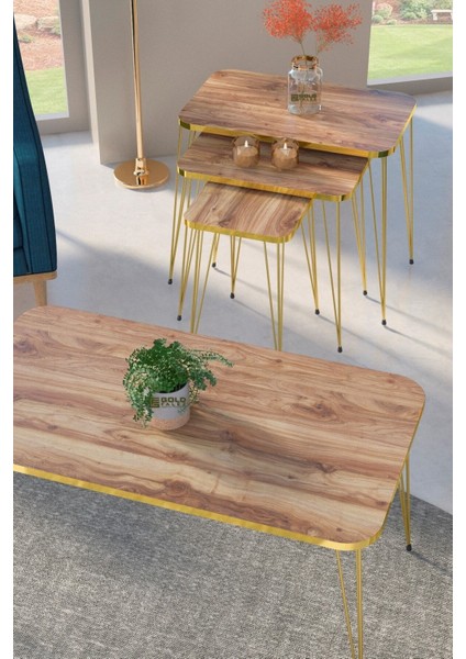 Zigon Sehpa Kr ve Orta Sehpa Kr Set Gold Ceviz Tel 1108