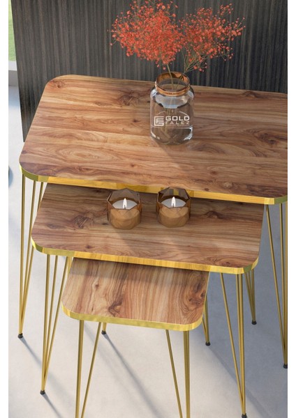 Zigon Sehpa Kr ve Orta Sehpa Kr Set Gold Ceviz Tel 1108 modelleri