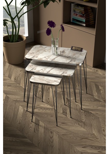 Zigon Sehpa Kr Ve Orta Sehpa Kr Set Gümüş Efes Tel Ayak Siyah