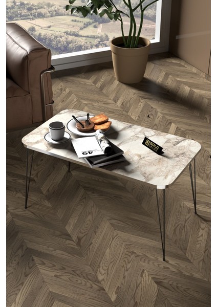 Zigon Sehpa Kr Ve Orta Sehpa Kr Set Gümüş Efes Tel Ayak Siyah fiyatları