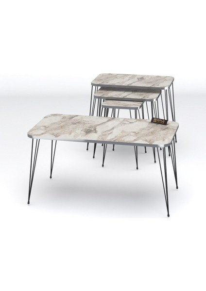 Zigon Sehpa Kr Ve Orta Sehpa Kr Set Gümüş Efes Tel Ayak Siyah modelleri