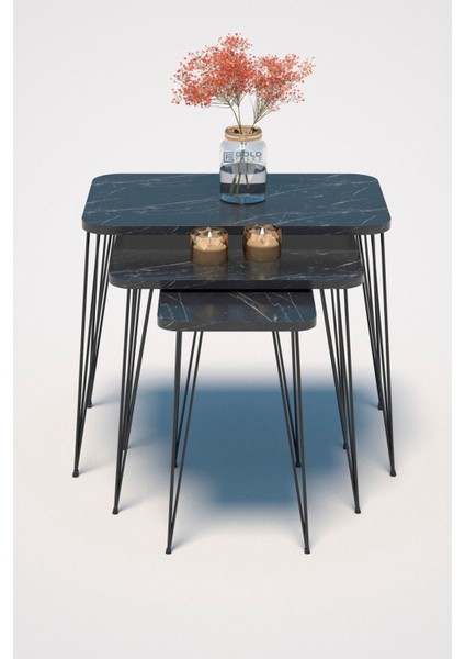 Zigon Sehpa Kr Ve Orta Sehpa Kr Set Siyah Ayak Bendir Tel 1104 fırsatları