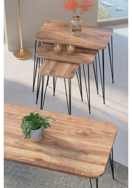 Zigon Sehpa Kr ve Orta Sehpa Kr Set Siyah Ayak Ceviz Tel fiyatları